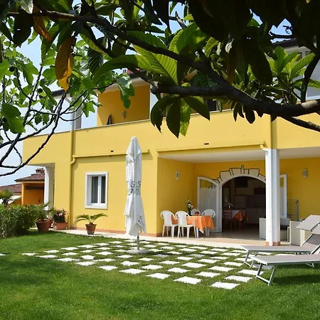 Mimosa Apartment