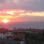 Mimosa Bardolino