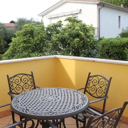 Mimosa Bardolino
